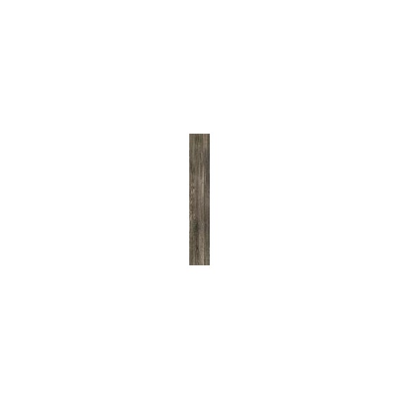 Terrane grey poler 19x119,8