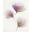 Loris white inserto flower 40x50