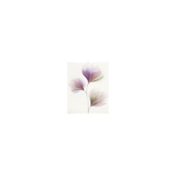 Loris white inserto flower 40x50